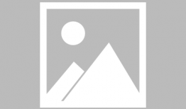 在线本子漫画,本子漫画的崛起与影响